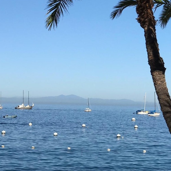 Meet your Posher, Charlie - Picture 1 of 1